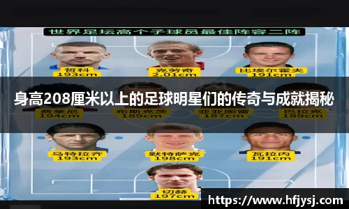 身高208厘米以上的足球明星们的传奇与成就揭秘